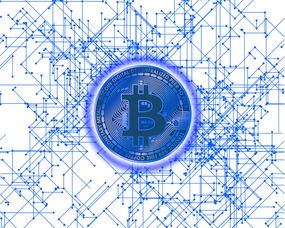 开云体育app注册-中国篮球教练员执教技能提升路径探讨，中国篮球教练员的等级结构