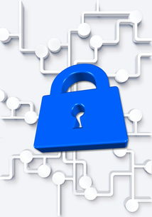 开运体育电脑版-高校运动心理学服务体系完善路径，运动心理学在大众锻炼中有哪些作用