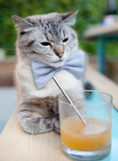 开云官网-中国三人篮球男队攻守平衡稳中求胜，中国三人篮球男篮