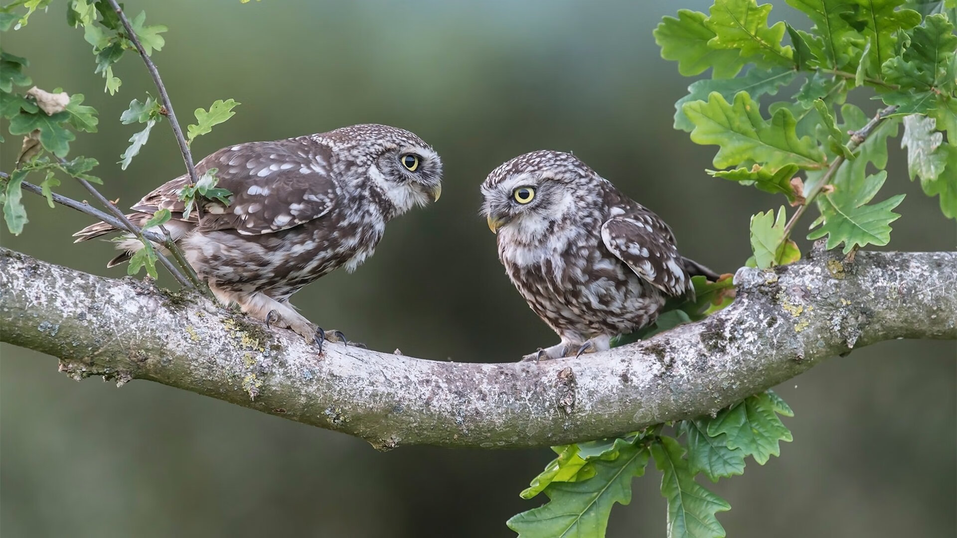 开云体育在线登入-体育新闻中心推动体育赛事版权保护法律框架完善，体育赛事媒体