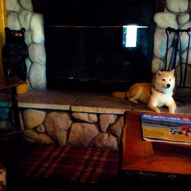 开云体育官网上-城市马拉松志愿者管理系统上线，马拉松志愿者报名官网