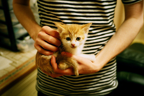 开云体育足球-巴萨新人轮换激活场上年轻活力，巴萨新转会