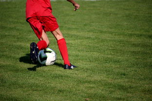 开云体育网址-CBA球队完善伤病防护体系保障运动员健康和职业生涯，cba球员伤情报告