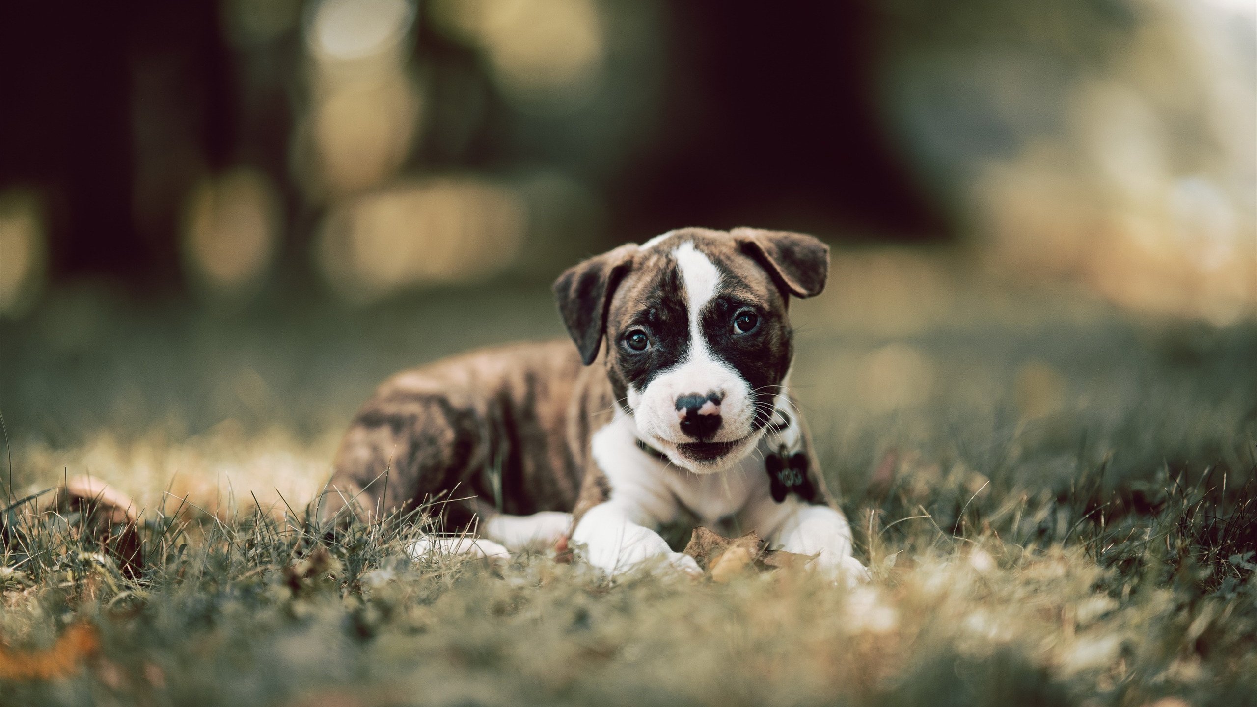 开云体育在线入口-中超俱乐部纷纷打造青训学院探索长期发展路径，中超球队训练基地