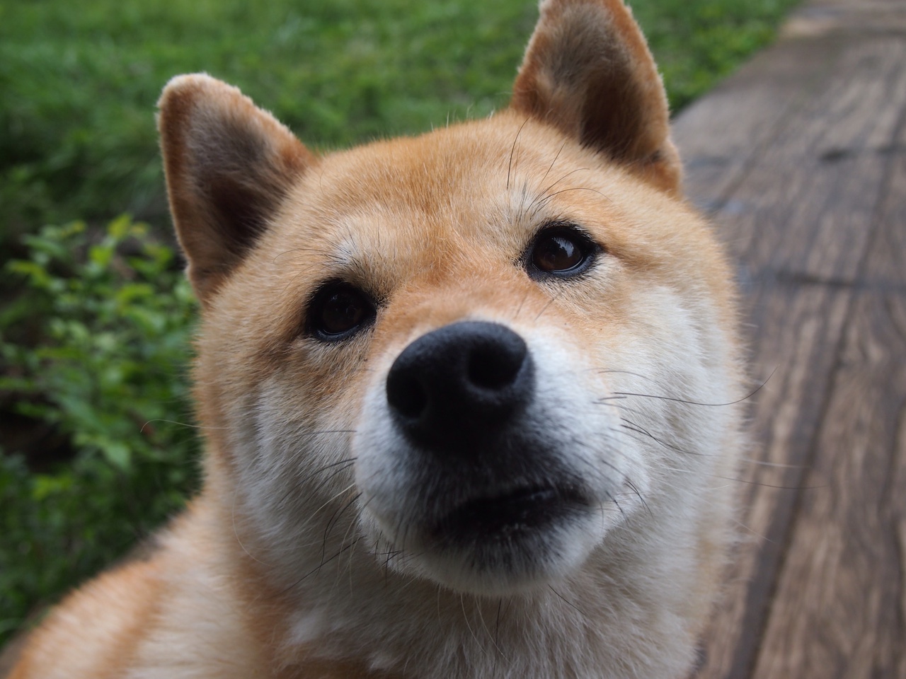 开云体育官网上-塞尔维亚男篮在欧洲预赛中奋勇追击，准备迎接奥运盛会！，塞尔维亚男篮奥运预选赛