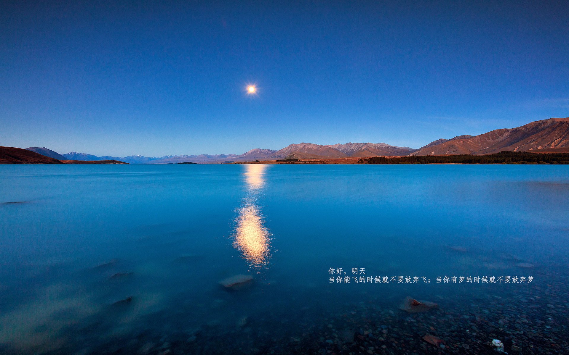 开云体育在线下载-女子4×200米自由泳接力澳大利亚称霸赛场，女子4×100米自由泳接力决赛